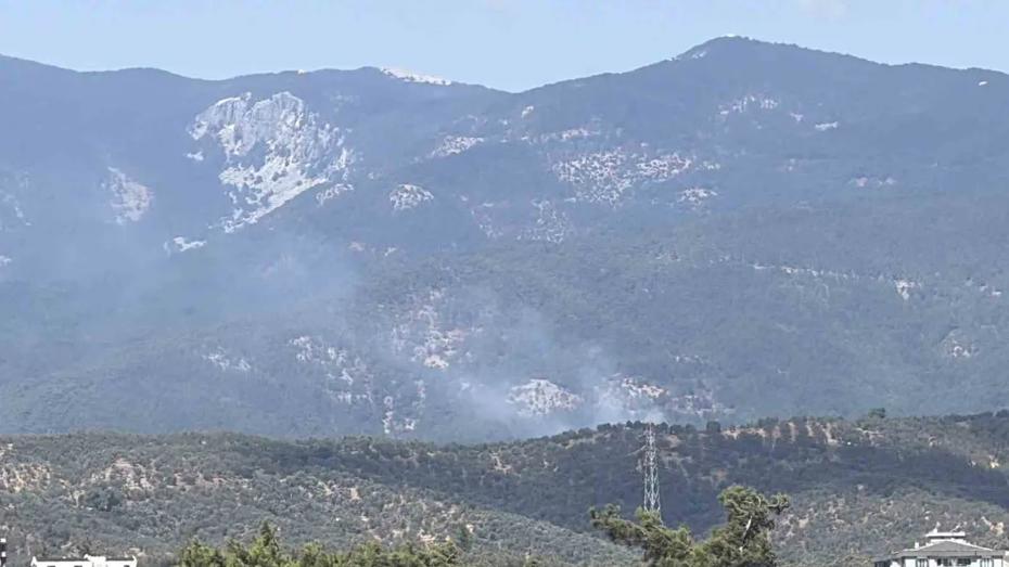 Kazdağı Milli Parkı'ndaki Orman Yangını Hızla Kontrol Altına Alındı